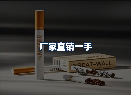 专业团队办公环境